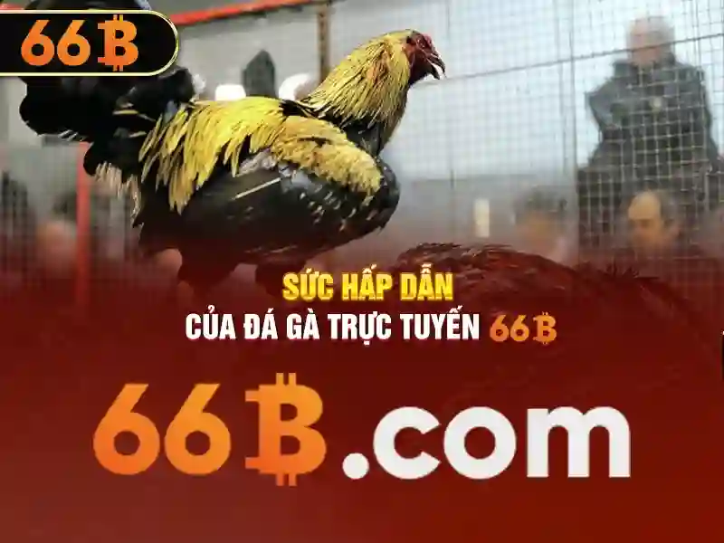 bảo mật thông tin - 66B bảo mật thông tin - 66B