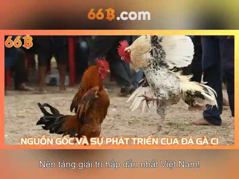 💎xem kenh k+pm keo nha cai💎 💎xem kenh k+pm keo nha cai💎