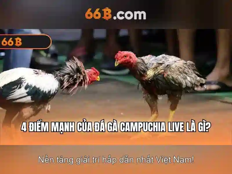 quên mật khẩu 66b - 66B quên mật khẩu 66b - 66B