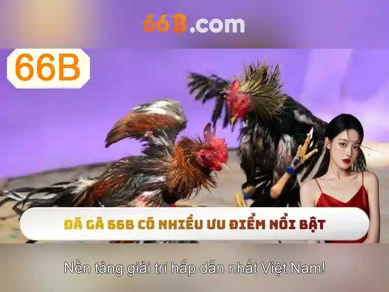 💎betway sòng bạc đáng tin cậy💎 💎betway sòng bạc đáng tin cậy💎