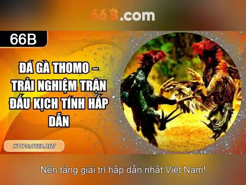 💎cuốc ca💎 💎cuốc ca💎