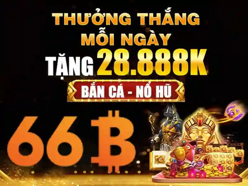minh bạch - 66B minh bạch - 66B
